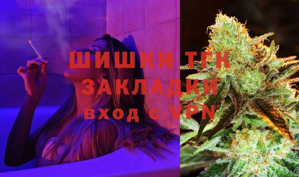 сатива Баксан