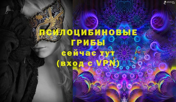 сатива Баксан